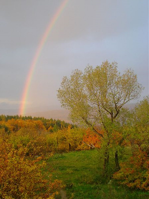 autumn-rainbox
